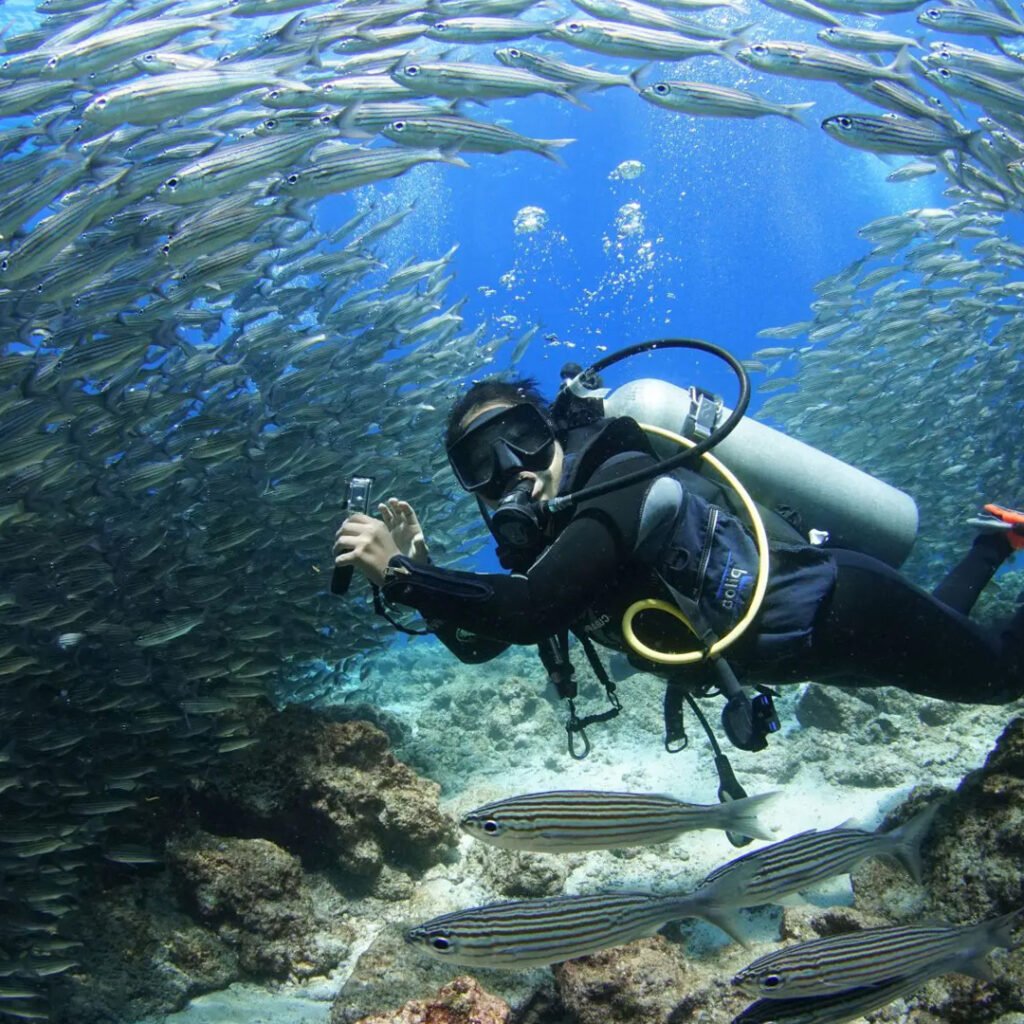 Gordon Rocks Dive Gordon Rock Diving Galapagos | Santa Cruz Diving Tour