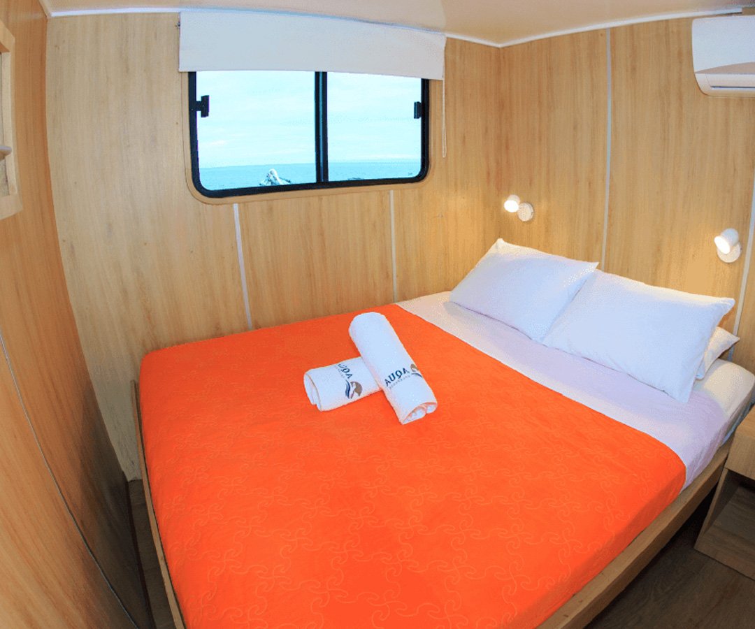 Crucero-buceo-Go-Galapagos-Tours-3