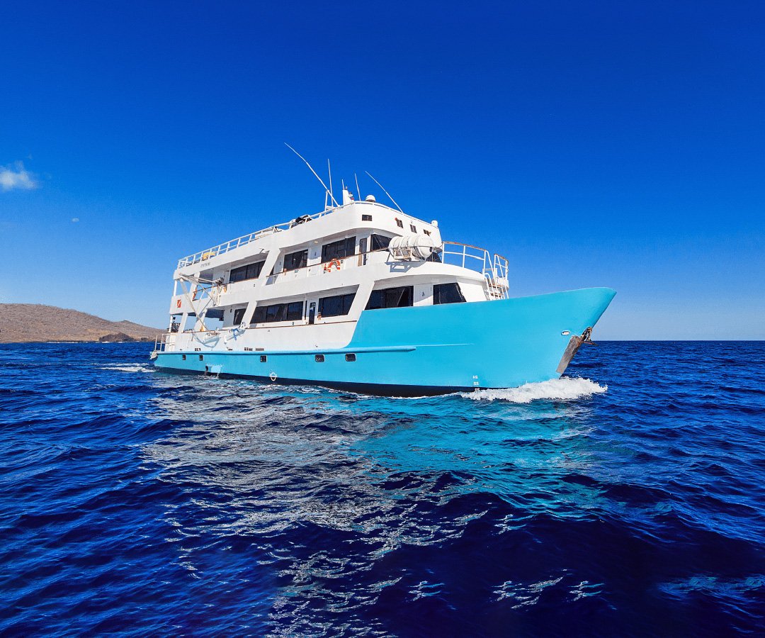 Crucero-buceo-Go-Galapagos-Tours-7