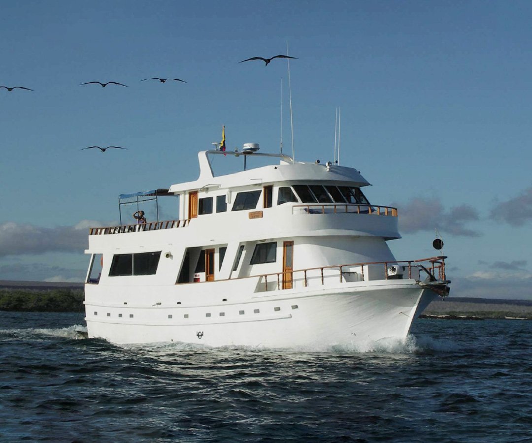 Crucero-economico-Go-Galapagos-Tours-4