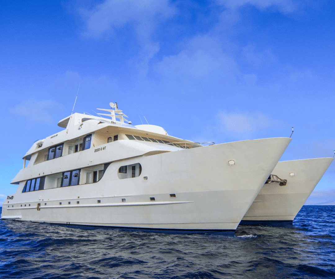 Crucero-primera.clase-Go-Galapagos-Tours-2