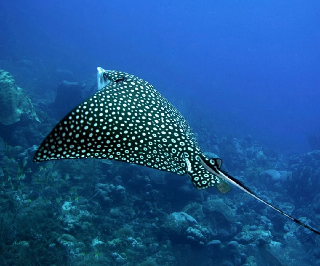 Go-galapagos-tours-5