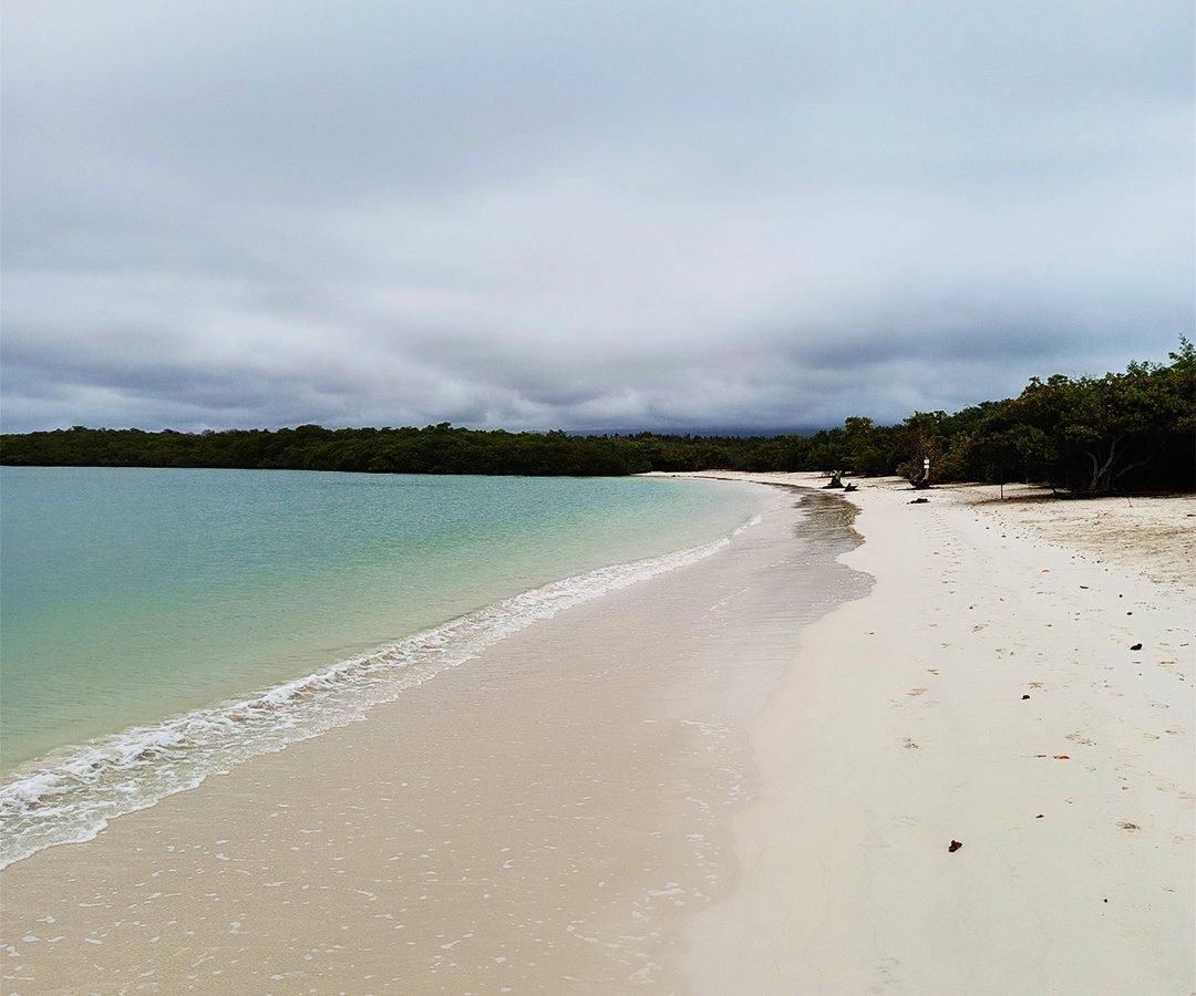 Go-galapagos-tours-7